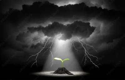 Illustration offering - Image 1