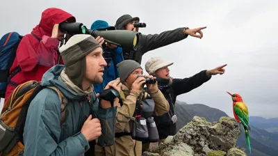 Illustration twitching - Image 1