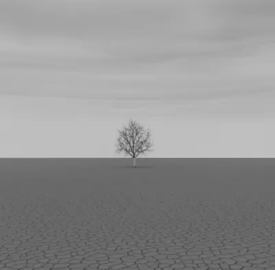 Illustration colorless - Image 1