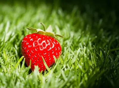 Illustration specialty - Image 1