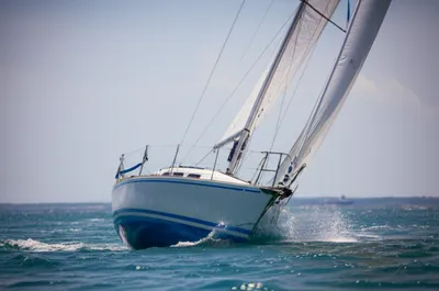 Illustration raked - Image 1