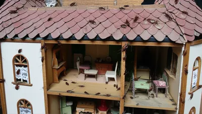 Illustration infests - Image 1