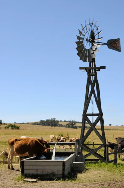 Illustration gins - Image 1