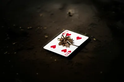 Illustration low - Image 1