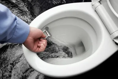 Illustration flushes - Image 1