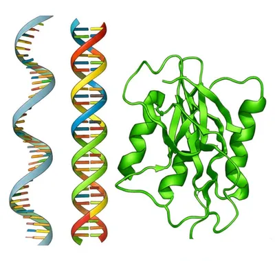 Illustration aligned - Image 1