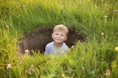 Illustration scrape - Image 1