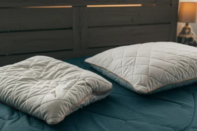 Illustration plumped - Image 1