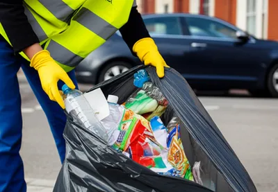 Illustration scavenger - Image 1