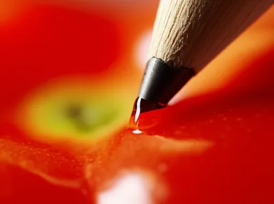 Illustration sharpness - Image 1