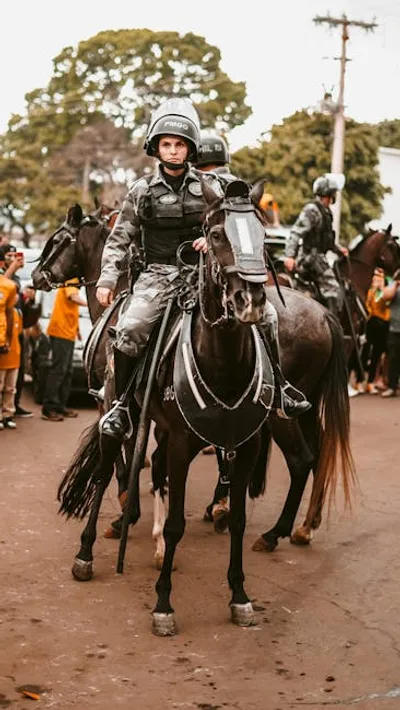 Illustration armies - Image 2