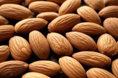 Illustration almonds - Image 1