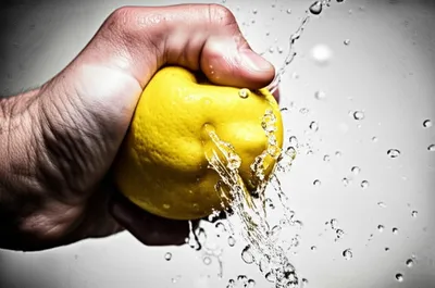 Illustration crab - Image 1