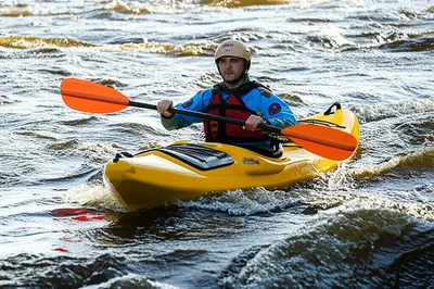 Illustration cope - Image 1