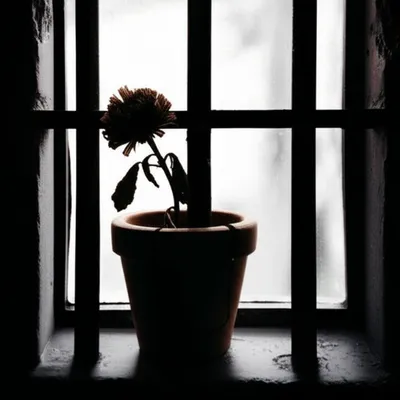 Illustration bit - Image 1