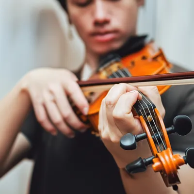 Illustration fiddle - Image 1