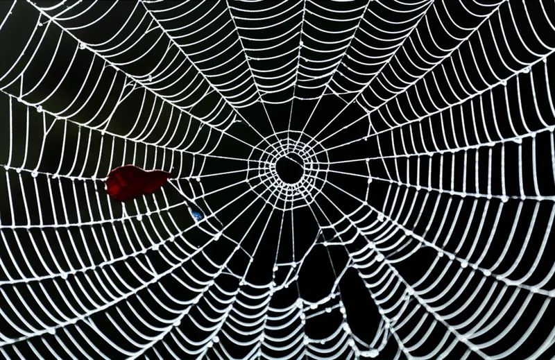 Illustration visuelle du mot « fragile » - Fragile, cassant