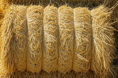 Illustration bottles - Image 1