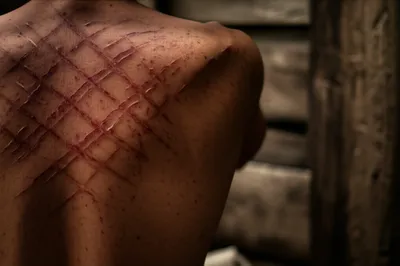 Illustration lashed - Image 1