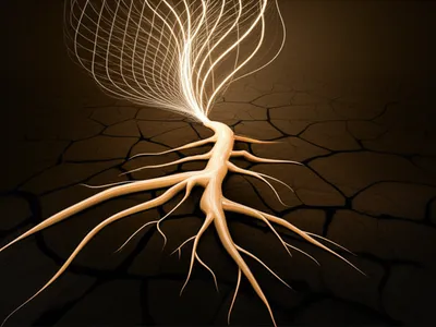 Illustration living - Image 1