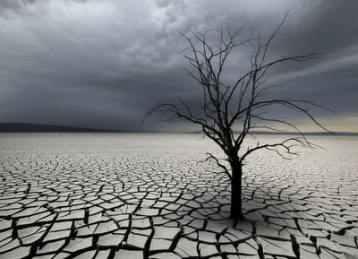 Illustration parish - Image 1