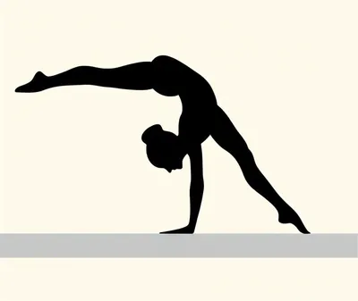 Illustration leotard