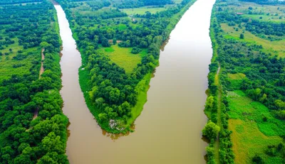 Illustration bifurcate