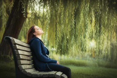 Illustration sighed - Image 1