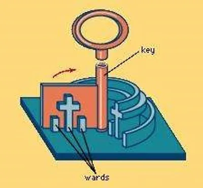 Illustration ward - Image 5