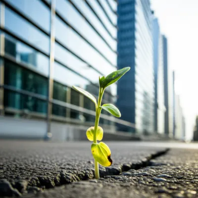 Illustration just - Image 1