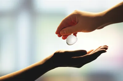 Illustration serving - Image 1