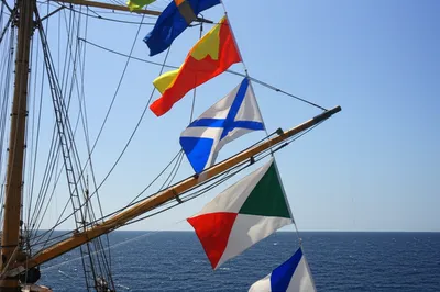 Illustration repeater - Image 1