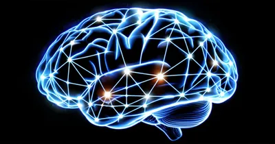 Illustration cognitive