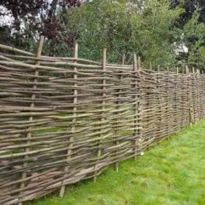 Illustration hurdle - Image 4