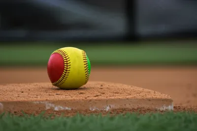 Illustration apples - Image 1