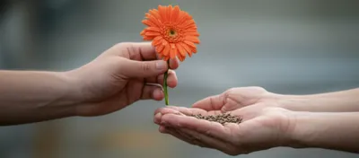 Illustration changes - Image 1