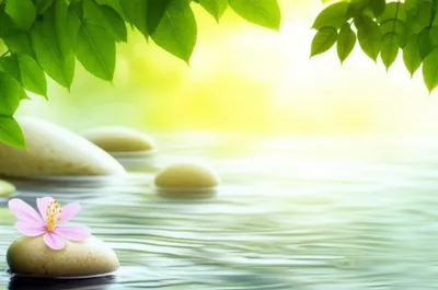 Illustration therapeutic - Image 1