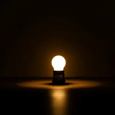 Illustration exclusively