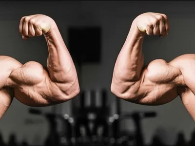 Illustration guns - Image 1