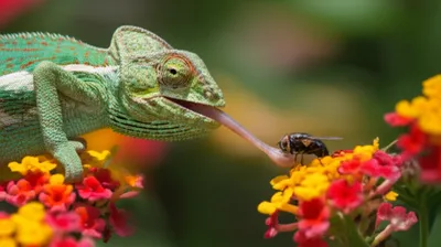 Illustration infiltrating