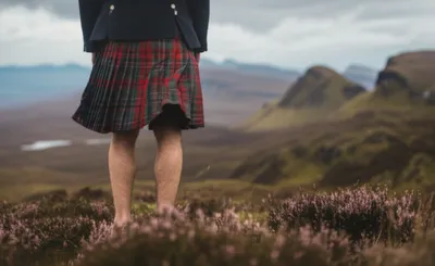 Illustration redshank - Image 1