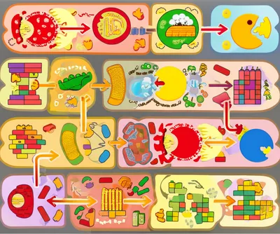 Illustration metabolize - Image 1