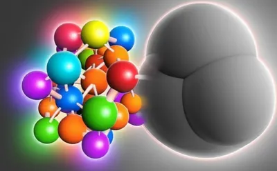 Illustration radicle - Image 1