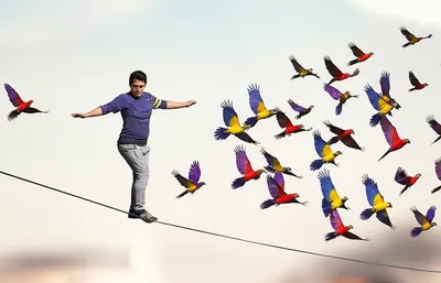 Illustration distract - Image 1