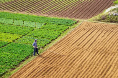 Illustration virga - Image 1