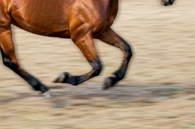 Illustration singled - Image 1