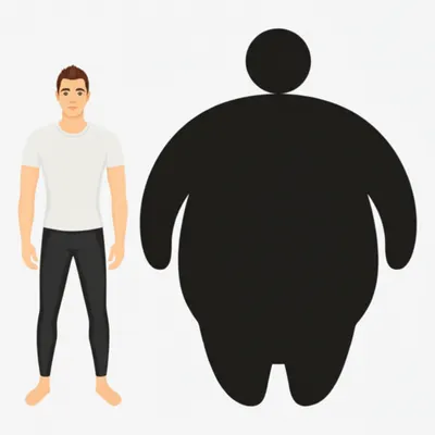 Illustration fatter - Image 1