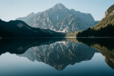 Illustration reflected - Image 1