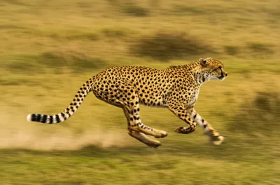 Illustration uptempo - Image 1