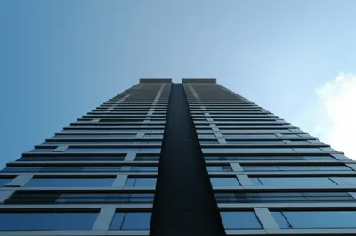 Illustration verticals - Image 1